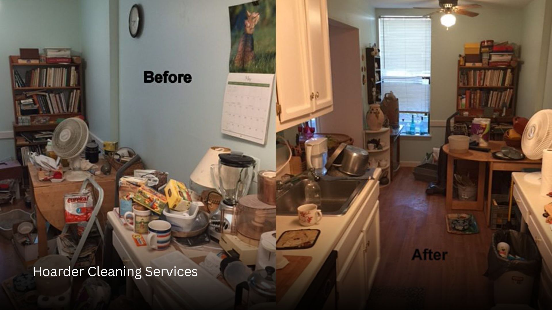 Hoarder Cleaning Services