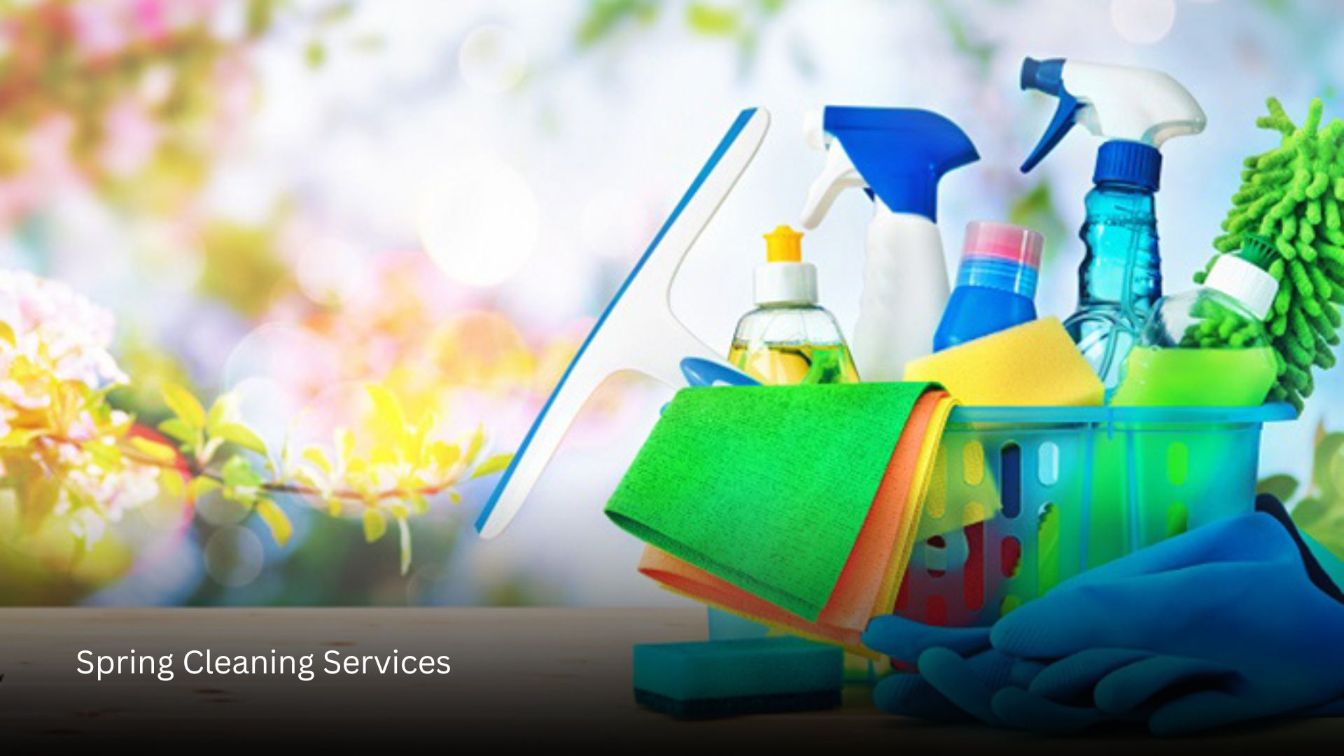 Spring Cleaning Services